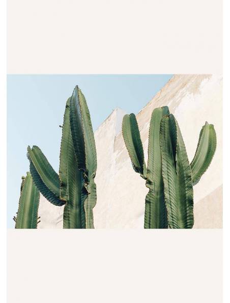Kaktusy na Pustyni, Plakat