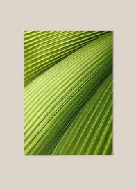 Plakat przedstawiający strukturę liścia w soczystym zielonym kolorze ukazany na beżowym tle.