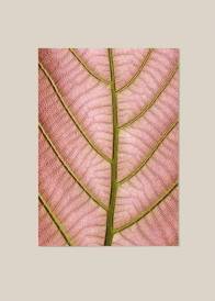 Pionowy plakat przedstawiający strukturę różowego liścia z zielonymi nerwami.