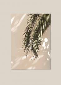 Pionowy plakat przedstawiający gałąź palmy z liśćmi na tle beżowej ściany.