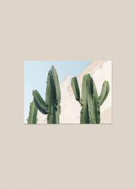 Poziomy plakat przedstawiający zielone kaktusy na tle szarego muru i błękitnego nieba ukazany na beżowym tle.