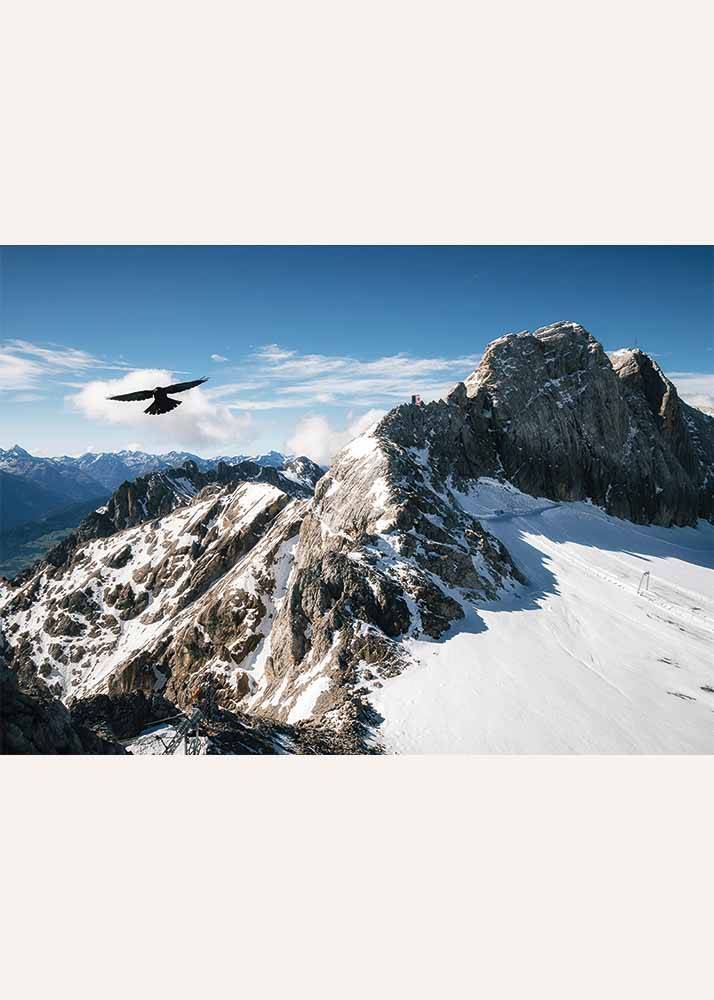 Plakat przedstawiający lot ptaka nad ośnieżonymi górami.