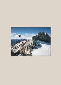 Poziomy plakat przedstawiający lecącego orła nad ośnieżonymi górami na tle niebieskiego nieba.