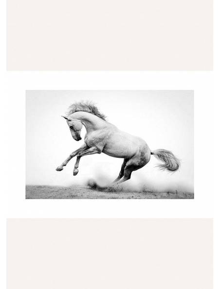 Koń w Galopie No.2, Plakat