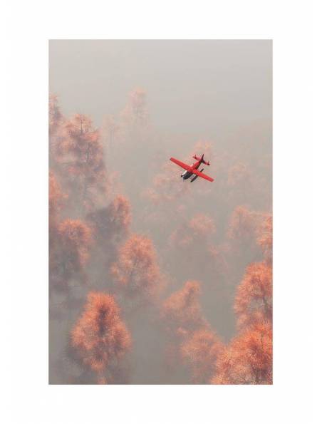 Czerwony Samolot nad Lasem, Plakat
