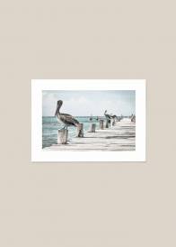 Plakat przedstawiający pelikany na pomoście na tle błękitnego morza.
