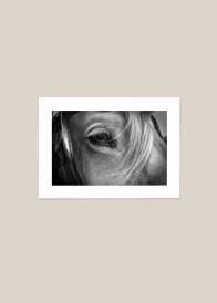 Czarno-biały poziomy plakat przedstawiający zbliżenie na oko konia.