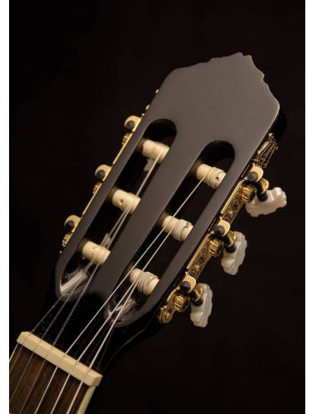 Gryf Gitary na Czarnym Tle, Plakat