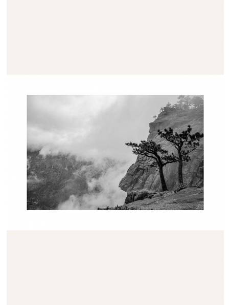 Samotne drzewa na skale, Plakat
