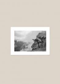Czarno-biały poziomy plakat przedstawiający drzewa rosnące na skale wśród chmur.