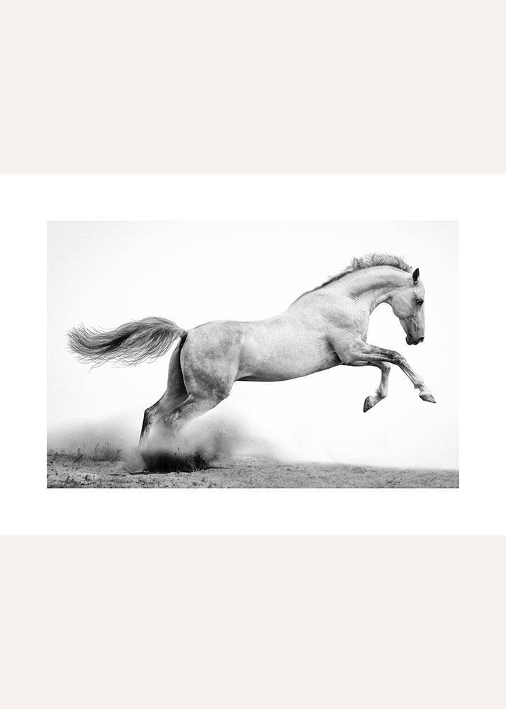 Czarno-biały poziomy plakat przedstawiający konia w galopie.