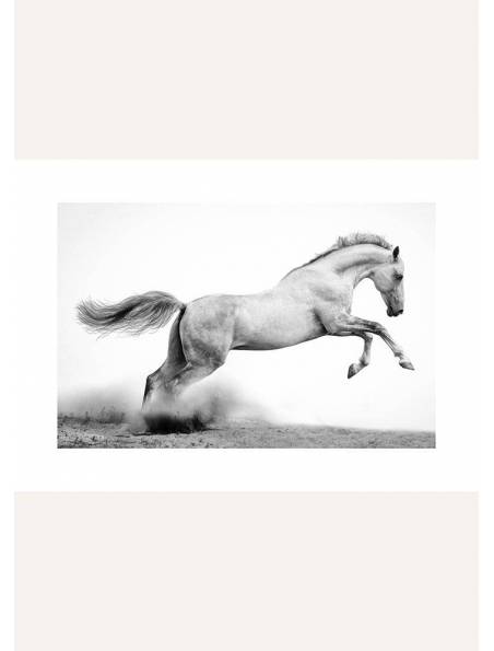 Koń w Galopie No.1, Plakat