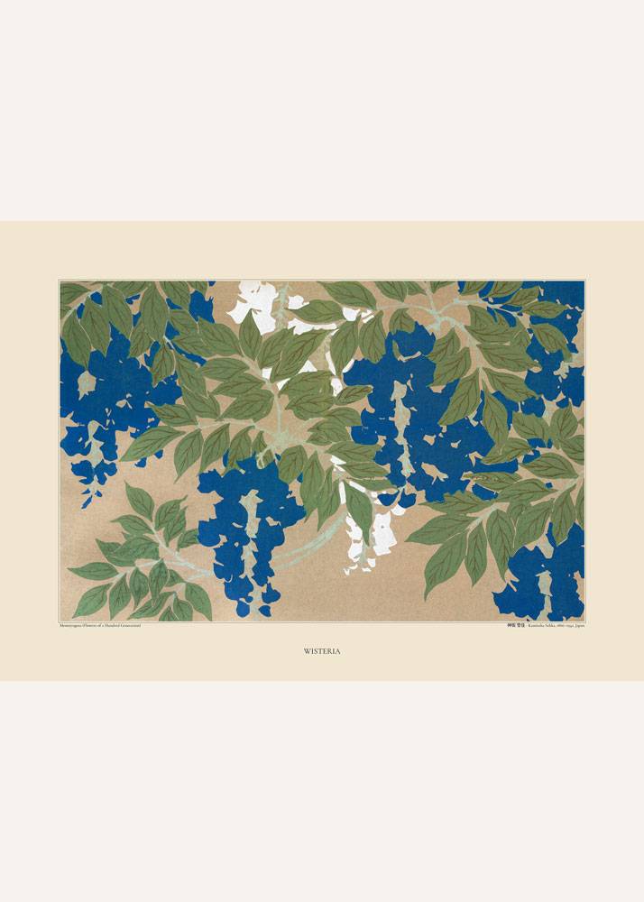 Plakat, grafika przedstawiająca niebieskie kwiaty i liście glicynii na beżowym tle.