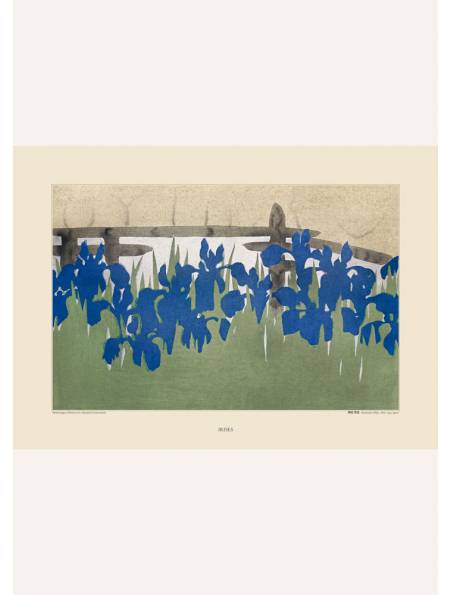 Irises Kamisaka Sekka, Plakat - Sztuka japońska