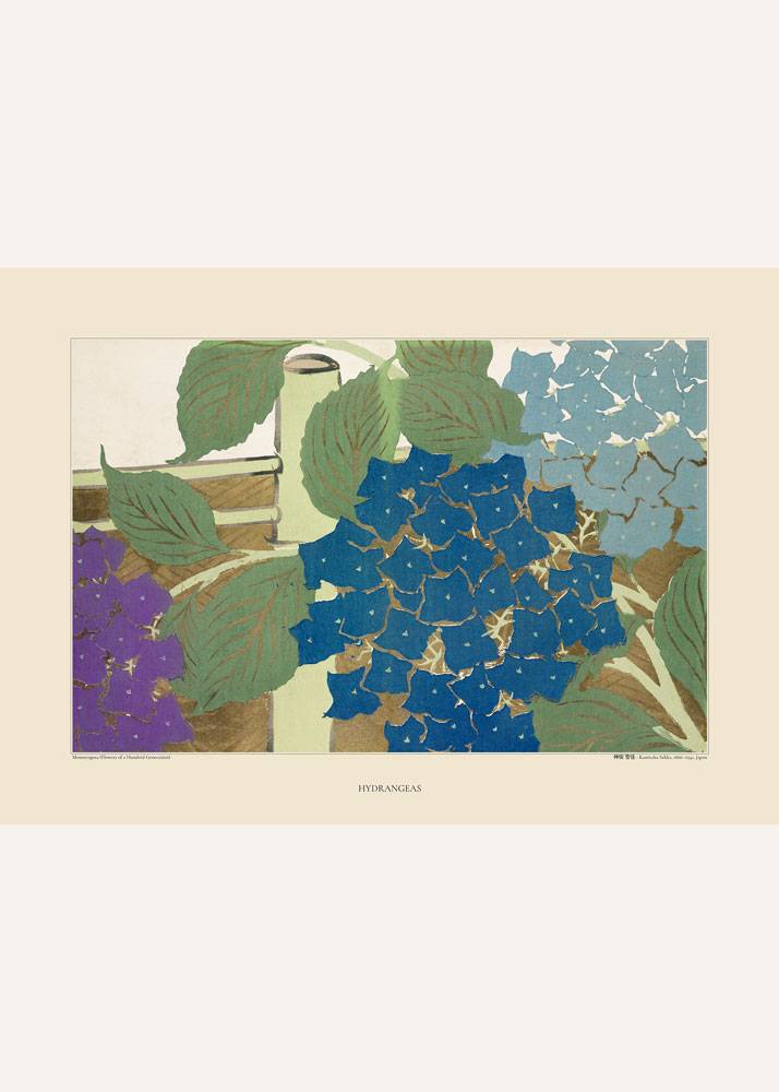 Plakat, grafika przedstawiająca kwitnące niebieskie i fioletowe hortensje ukazana na beżowym tle z napisami.