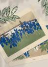 Plakat przedstawiający niebieskie irysy kwitnące na łące w zestawieniu z innym plakatem z serii.