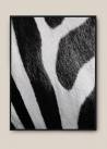 Plakat przedstawiający teksturę zebry, oprawiony w czarną ramę.