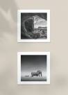 Dwa czarno-białe kwadratowe plakaty przedstawiające widok z jaskini oraz słonia.