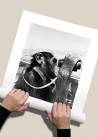 Czarno-biały plakat fotograficzny marki Mermer ukazujący małpę, zwijany w rulon.